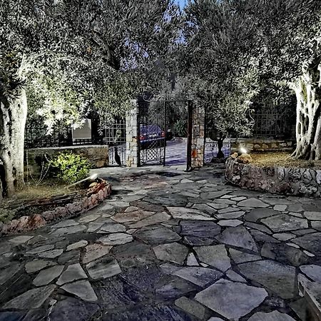 Villa Elaion Thea-Nies Sourpi Exterior foto
